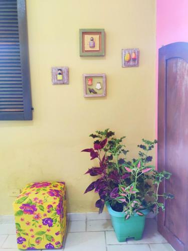 Ca� Brasil Hostel