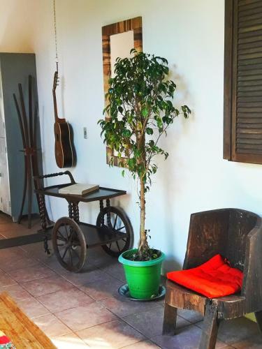 Ca� Brasil Hostel