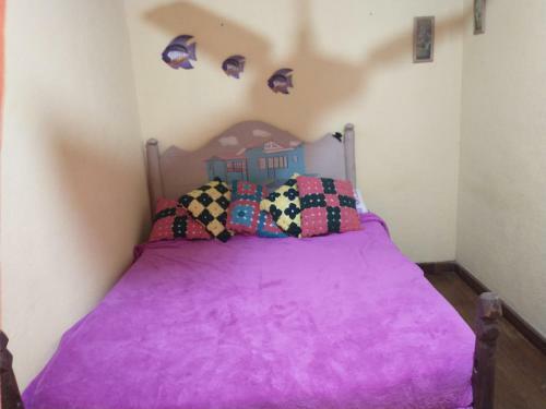 Paraty Cai�ara