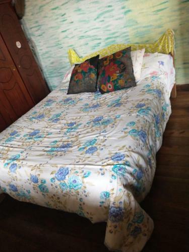 Paraty Cai�ara