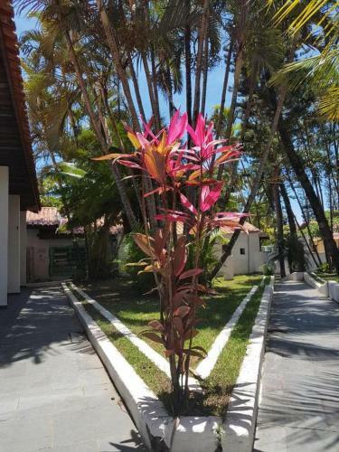 Hostal Pousada Do Arpoador Peru�be