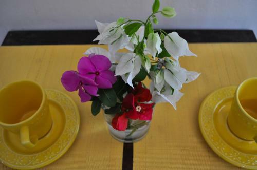 Apartamento Cores Da Pipa Flats