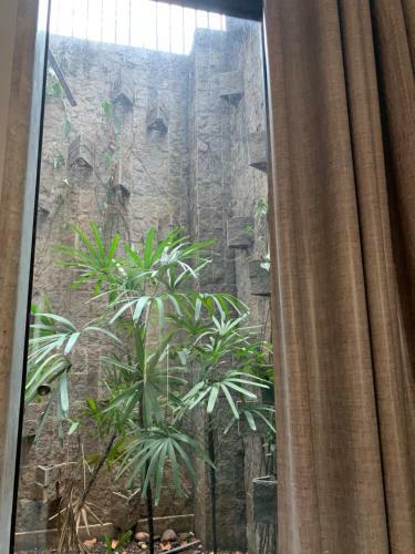 Samir Hotel Comfort