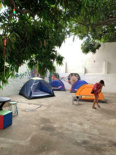 Camping Debaixo Do P� De Manga
