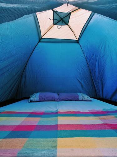 Camping Debaixo Do P� De Manga
