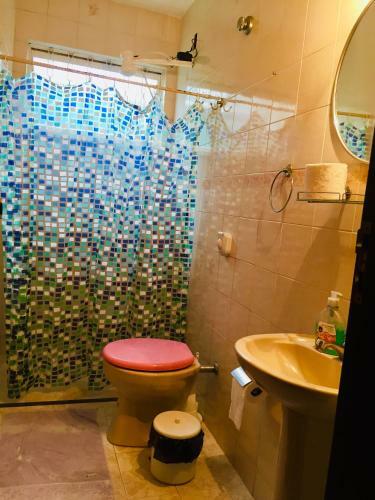 Bed & Breakfast Planet Hostel