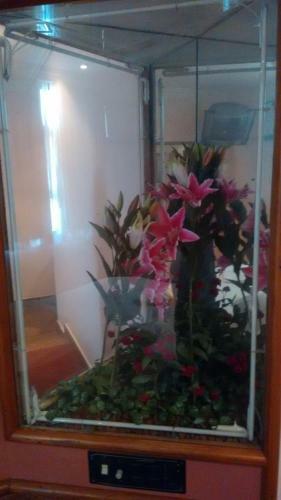 Magnus Norte Hotel (Adult Only)