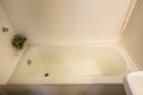 Apartamento Quarto E Sala Espa�oso No Leblon
