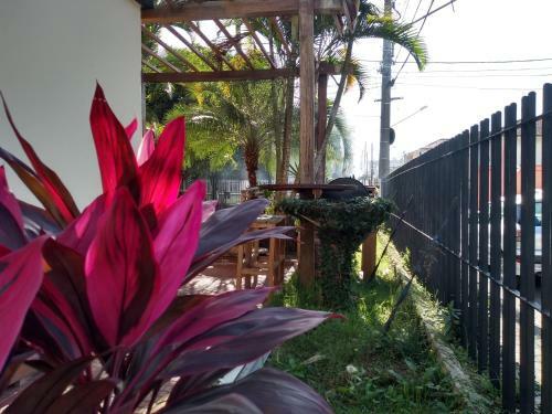 Bed & Breakfast Casa Summer Hostel
