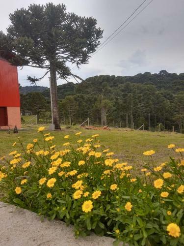 Hostal Pousada Bela Tereza