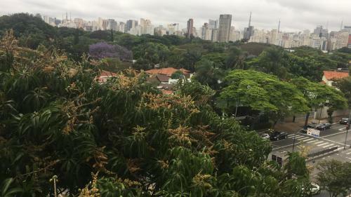 Apartamento Apto (Prox. Paulista, Ibiraquera, Itaim Bibi)