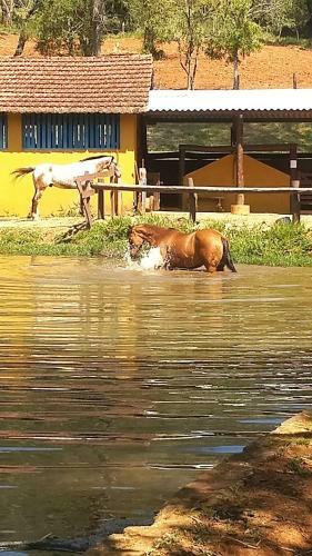 Ch�cara Com Piscina, Wifi, Passeio A Cavalo E Pesca