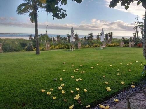 Hostal Pousada Pedra De Ita�na