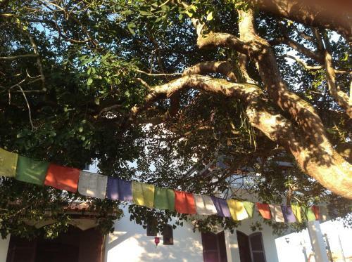Fui Surfar Guesthouse