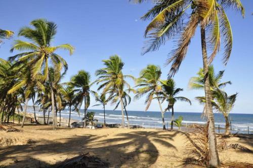 Apartamento Recanto Verde Praia de Sto. Ant�nio