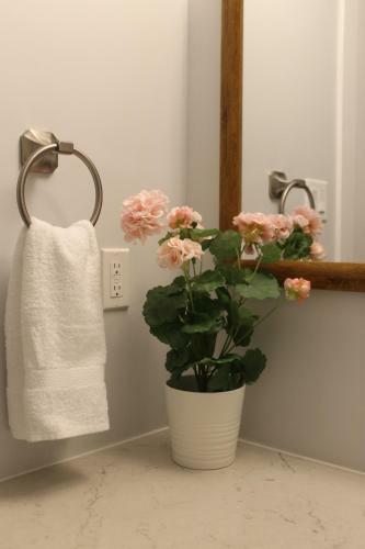 Apartamento Dtown, 3bed, Hot Tub, Luxury