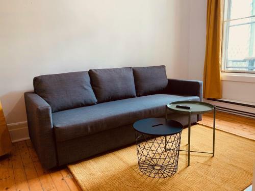 Apartments Near Montreal?s Metro Frontenac