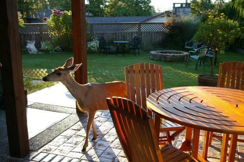 Bostrom's B&B On Little Beach Bay