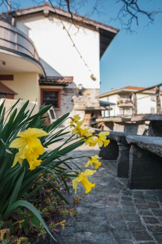 Bed & Breakfast Ristorante Canvetto Ticinese Con Alloggio