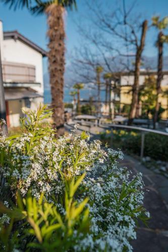 Bed & Breakfast Ristorante Canvetto Ticinese Con Alloggio