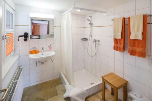 Hotel Historische Residenz Lindeneck
