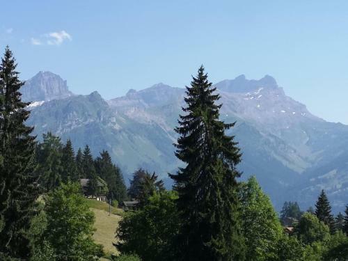 Villa Gorgeous And Spacious Chalet Near The Center