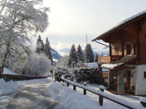 Villa Gorgeous And Spacious Chalet Near The Center