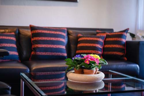 Apartamento Chalet Primula Penthouse