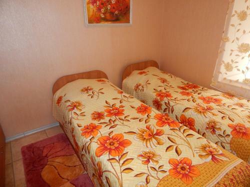 Albergue Advance Trio