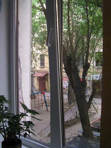 Bed & Breakfast Iguana On Moskovsky