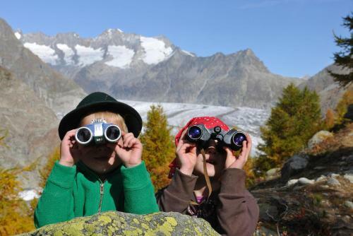 Apartamento Alpengarten 6