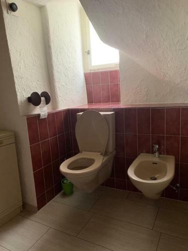 Friendly Hostel Z�rich