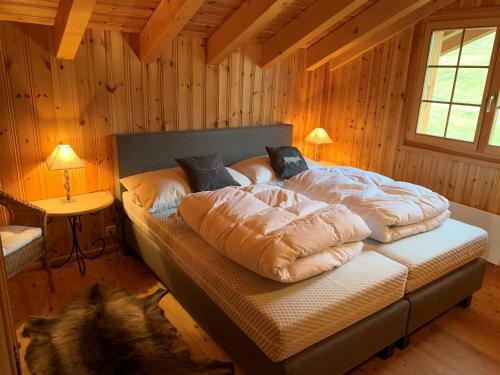 Narnia Ski In & Ski Out Chalet 14 Pers