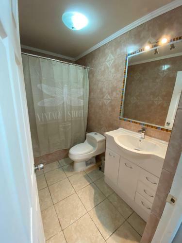 Apartamento Departamento Studio - Sanitizado Ozono - Factura - Central