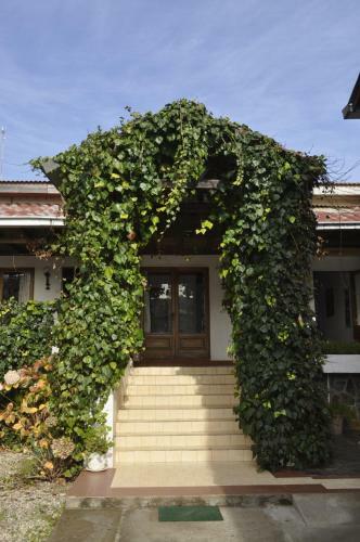 Hotel Hosteria Iloca