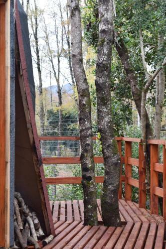 Jard�n De Domos: Pucon