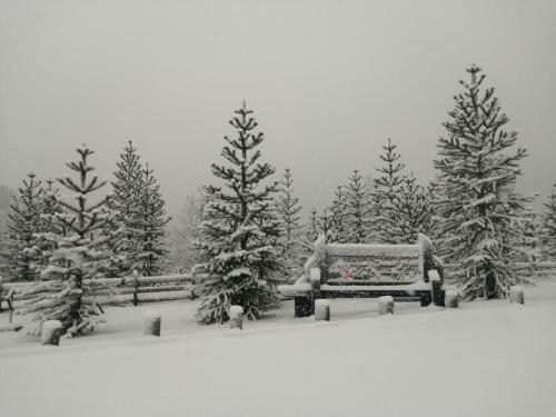 Villarrica Traverse