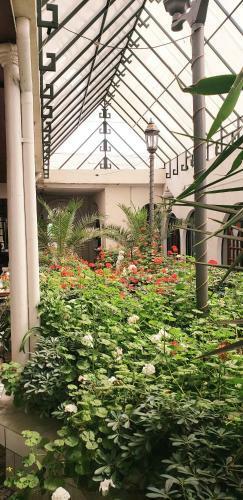 Hotel Espa�ol