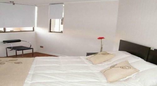 Santiago Suite Apartment