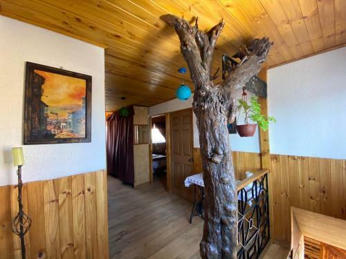 Albergue Hostal S&g