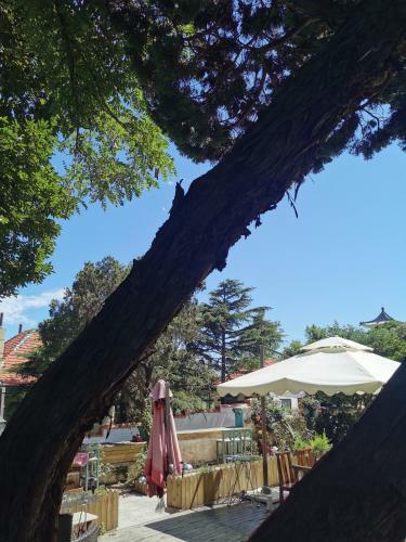 Qingdao Top Yunyin Homestay