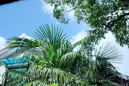 Le Mansion Apartment