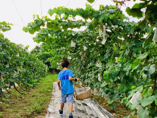 Hotel Club Med Joyview Beijing Yanqing Resort