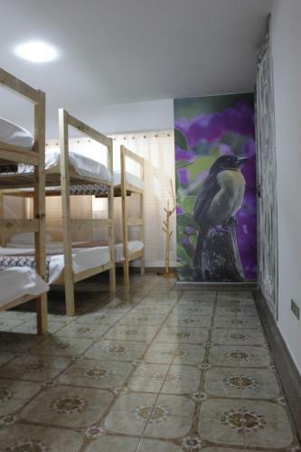 La Otra Mitad Hostel