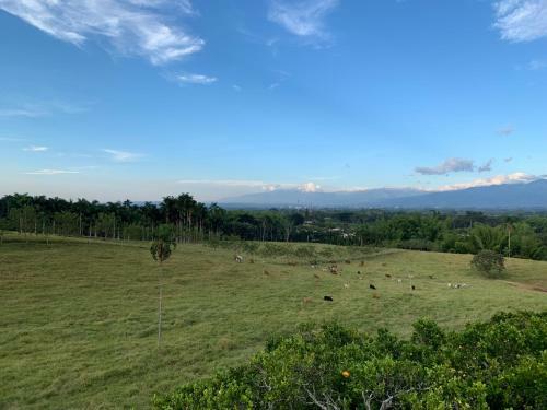 Hotel Rancho Eden