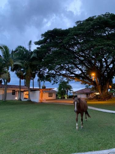 Hotel Rancho Eden