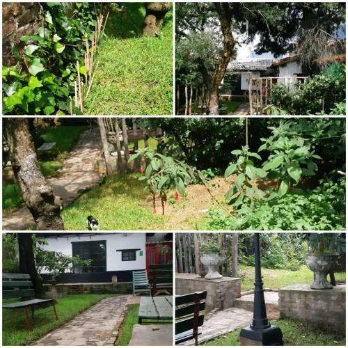 Cedron Hostel