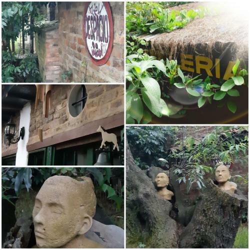 Cedron Hostel