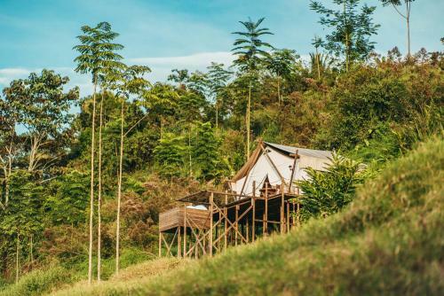 Glamping Entre Rios