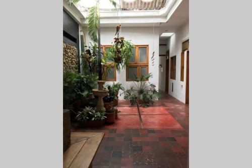 Apartamento Red Parrot San Antonio